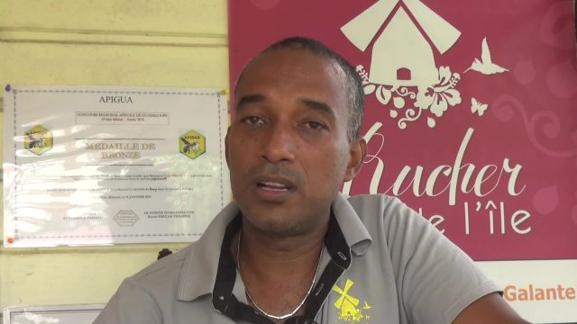 Chroniques de la Ruche : à la découverte du Miel de Marie Galante