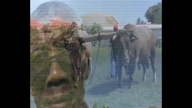 Une école de St Louis est invitée à un Coup de Charrue traditionnel