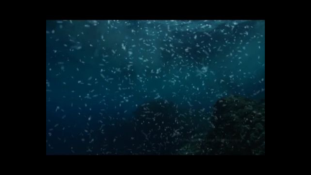 Projection en pein air 'Au fil de . l'eau'