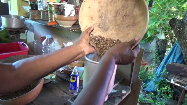 Patrimoine : La fabrication traditionnelle de l'huile de carapate