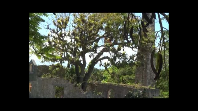 Catherine Richomme a animé des ateliers dessins à Murat