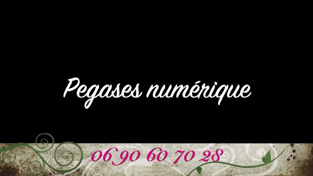 Pegases numérique votre partenaire nouvelles technologies
