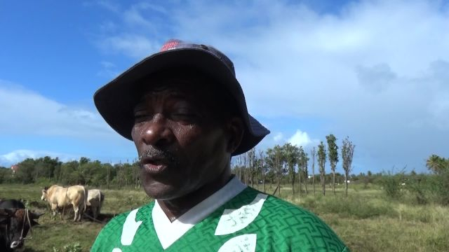 Vivez un coup de charrue traditionnel avec les chants de labours