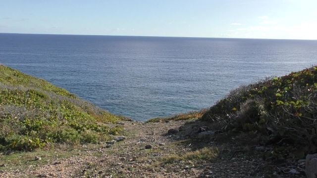 Randonnée nature : la découverte des falaises de Marie Galante et de la forêt xerophile