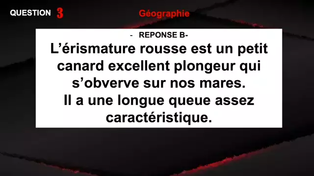 Connaissez vous bien Marie Galante ? le Kilti Quizz n°2