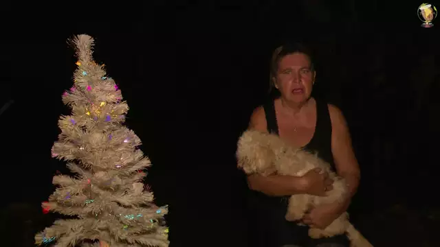 J-19 La star du conte de ce soir en Images c'est Mirliton le petit chien des rues