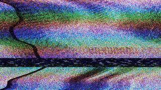 Ben Athorn un graffeur qui plante quelques graines à Marie Galante