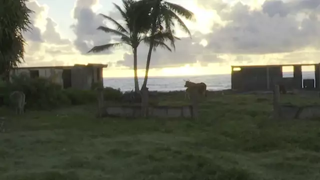 Découvrez l'ancien conte créole le tambour de colibri