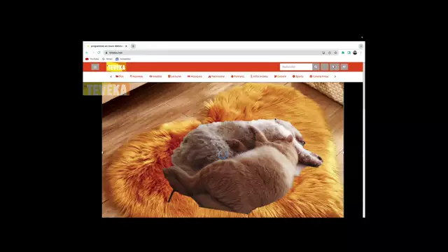 Comment s'inscrire sur TEVEKA