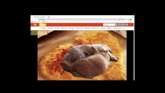 Comment s'inscrire sur TEVEKA