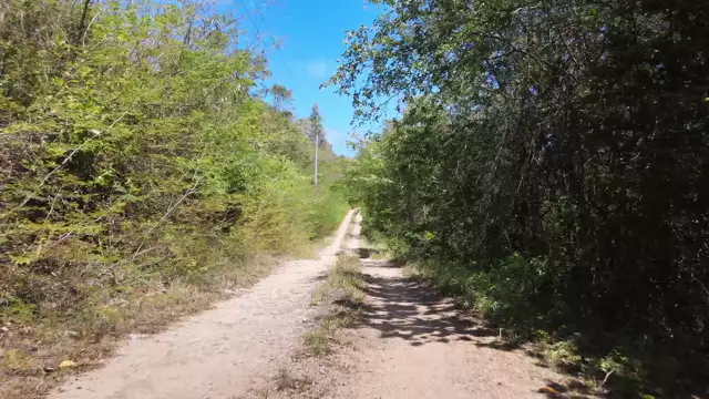 Les jolis chemins de Marie Galante nous invitent à lambiner