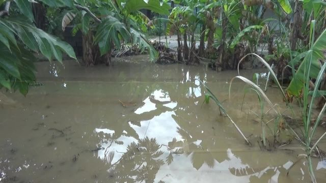 Dis moi dix mots 2023 avec le terme Hivernage illustré en images