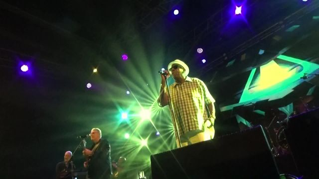 Terre de blues 2023 : le reportage du festival à ne pas manquer