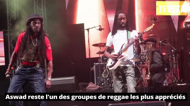 Terre de Blues le replay : 7ème ep. Aswad le reggae combattant
