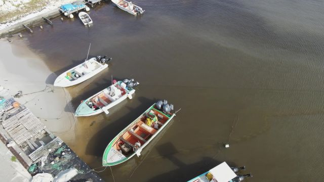 Sargasses à Capesterre : elles sont prises au filet !