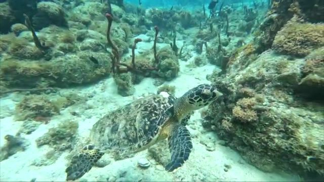 Bande Annonce Maria Galanda il était une fois une île