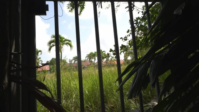 La marche de la liberté   dans le cadre de la journée de l'esclavage