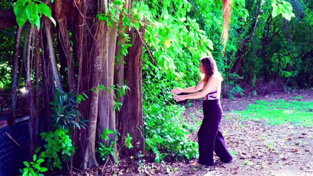 Interdit de rêver : une fiction de la Team Marie Galantais