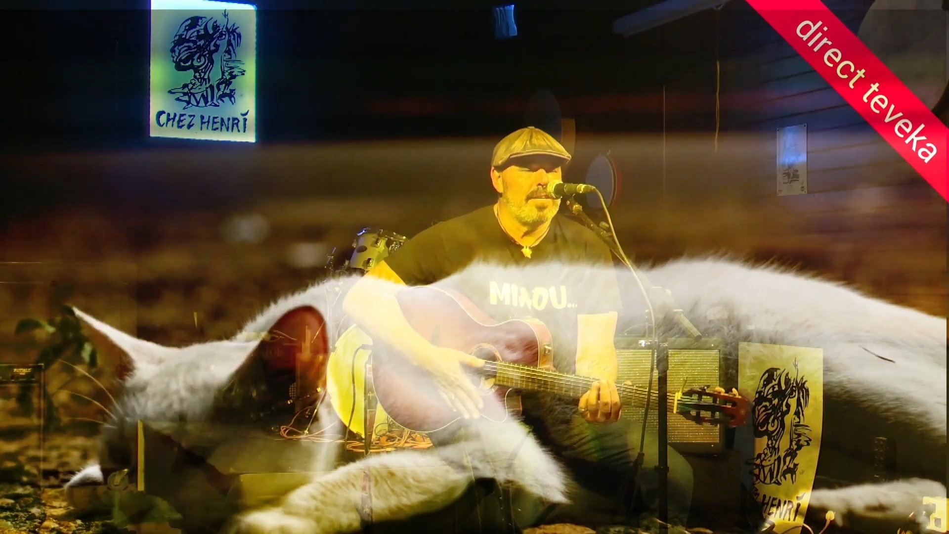 La chatte, une chanson de Frank Nello